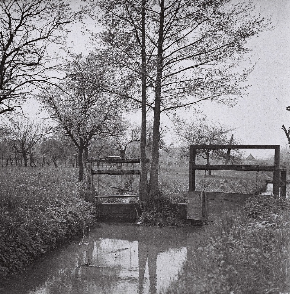 Wässerungseinrichtungen am alten Teich