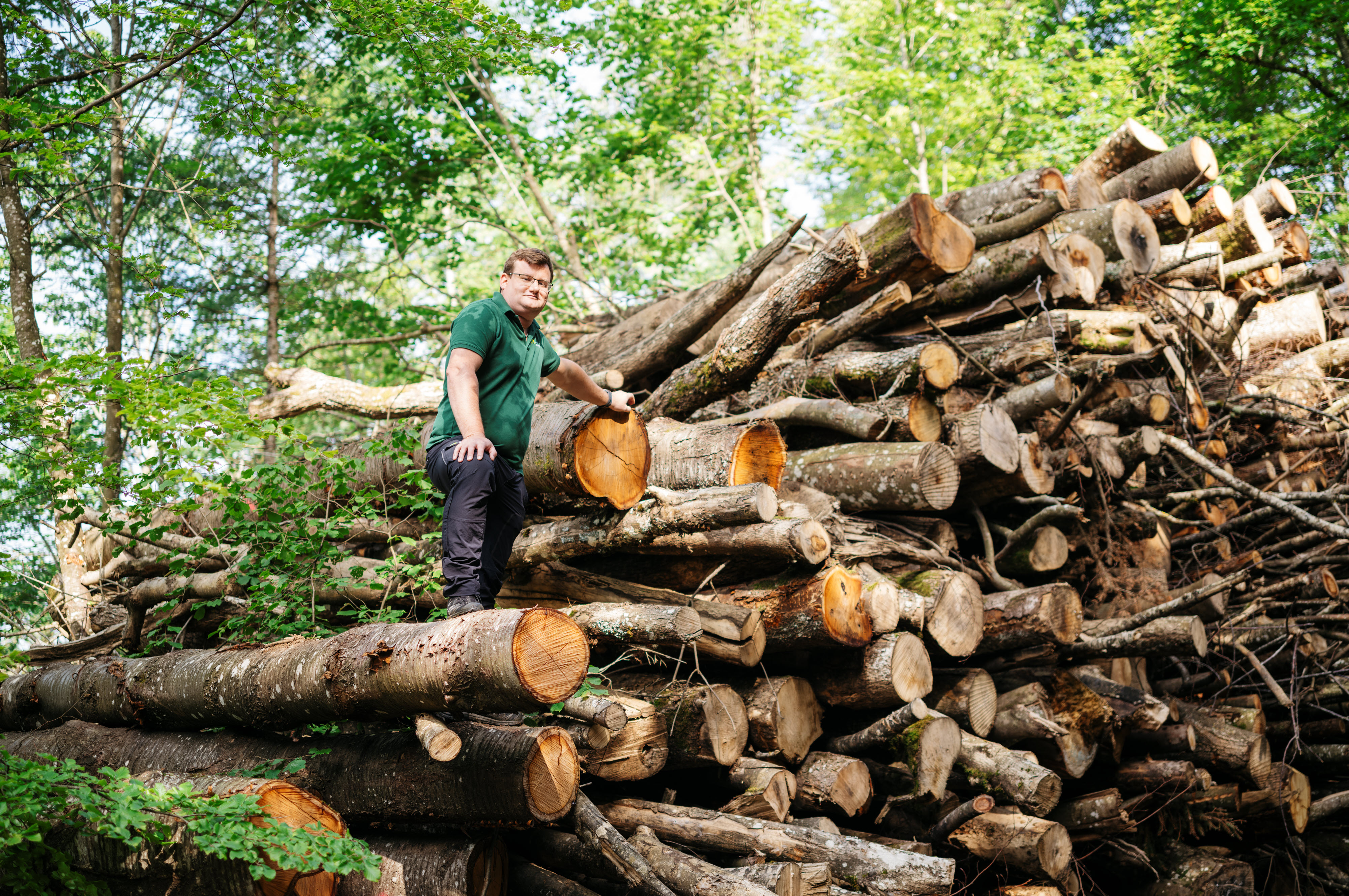 Ein Mann steht im Wald vor einem Haufen Holzstämmen