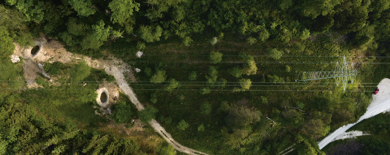 Eine Freileitung von oben aus der Luft fotografiert. Darunter sind Bäume, Sträuche und Gebüsche.