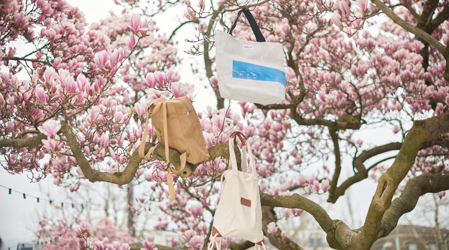 Drei Taschen hängen an den Ästen eines Magnolienbaums. 