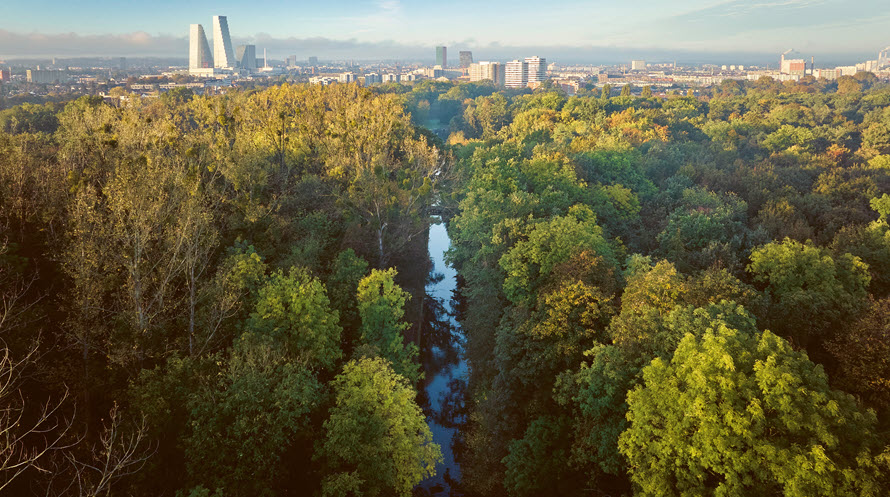 Trinkwasser ist nicht einfach nur Wasser. Es ist ein natürliches Lebensmittel, das für unseren Alltag unverzichtbar ist. Bis es aus dem Hahn kommt, passieren einige Dinge. In Basel ist der Prozess für die Trinkwassergewinnung ein spezielles Zusammenspiel von Natur und Technik.